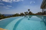 Infinity pool overlooking the sea, palm trees and sea grape trees.